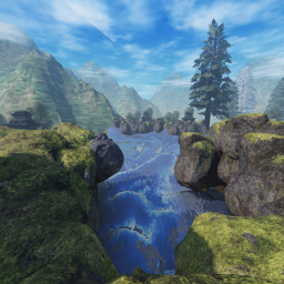 Peaceful forest