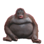 TheUnofficalMonkeKingdom