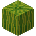 square watermelon (Limited)