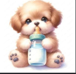 Dog Fans only! HV
