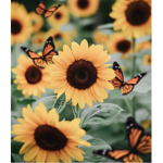 Sunflower x Aesthetic Clothing