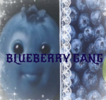 THE BLUEBERRY GNG