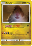 hamster am per