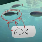 FishQQQ Group Thumbnail