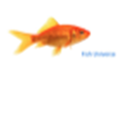 GOOO FISHHH PLAY