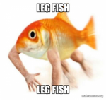 Fish_United !!!