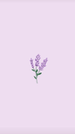 (:Aesthetic Girls :)