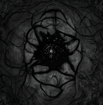 TheVoidColony