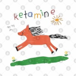 ktmine dreams