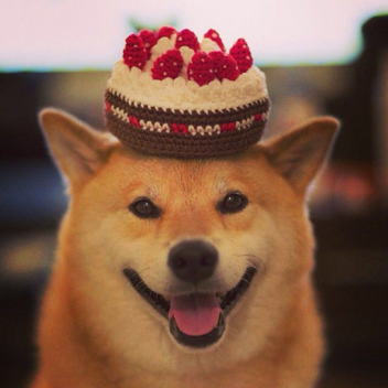 Birthday party!