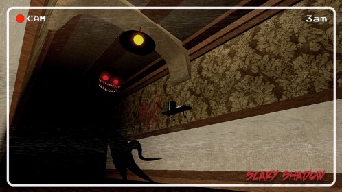Scary Shadow 😱