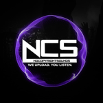 fan de nocopyrightsounds