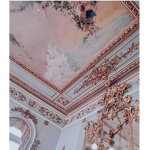the pink princess palace