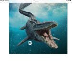 Raptor Rex