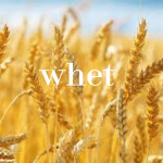 [⚕️DOC] Farming Test [BETA]