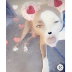 DOGGY DOGGY DOGGY GROUP JOIN NOW pls pls pls!