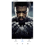 The Panther Of madness