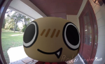 Oviplayz group