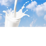 Lactose love