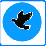 --[The Pigeon Republic]--