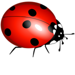 ~Miraculous Ladybug fans~