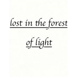 Lost in the forest