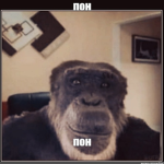 Qulis Lair