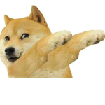 Doge dabz