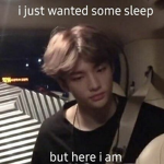 Skz fan group