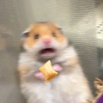 PIZZA ROLLS GOOD