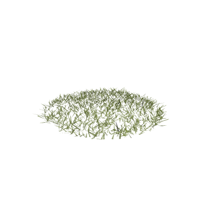 Meghan's Realistic Grass