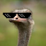 Ostrich Gamers
