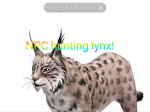 NPC hunting lynx’s NPC hunting group
