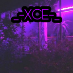 _-XCE-_ Fan Group
