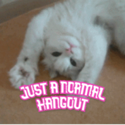 Just a normal hangout.