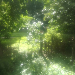 -˚｡ 🌼 ˚｡ -