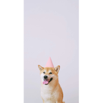 Cute animals are the best