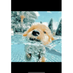 Aesthetic_vibe__