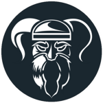 The Vikings™