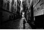 The Unknown Watcher