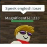 meme's store