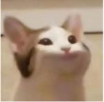 Ulygom
