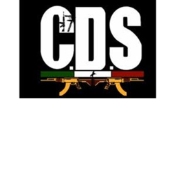 Academia Militar del CDS