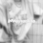 ʚ honeysuckle ɞ