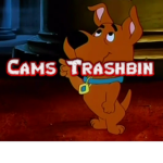 Cams Trashbin