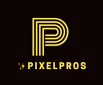 PRESIDENT SIMULATOR