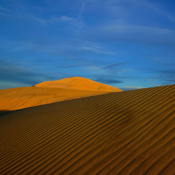 ходьба по пустыне