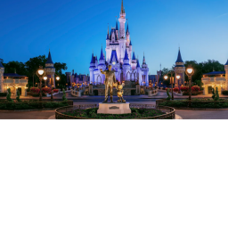 | Magic Kingdom |