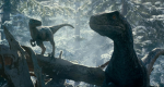 les_raptor