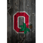 lets go bucks